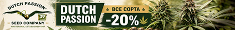 Dutch Passion -20% в мае