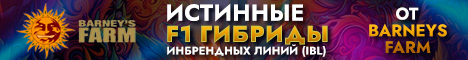 Seedsman 15+ сортов