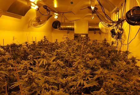 image.php=3falbum_id=3d10865=26image_id=3d436229=26view=3dno_count