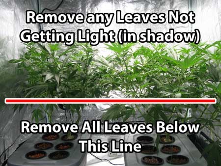 image.php=3falbum_id=3d10865=26image_id=3d436233=26view=3dno_count