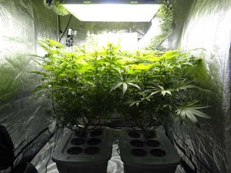 image.php=3falbum_id=3d10865=26image_id=3d436234=26view=3dno_count