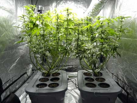 image.php=3falbum_id=3d10865=26image_id=3d436236=26view=3dno_count