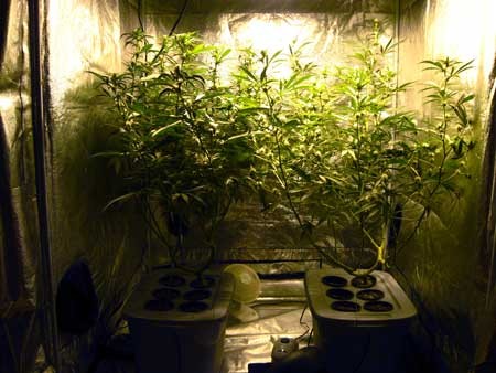 image.php=3falbum_id=3d10865=26image_id=3d436238=26view=3dno_count