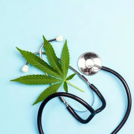 image.php=3falbum_id=3d10865=26image_id=3d531176=26view=3dno_count