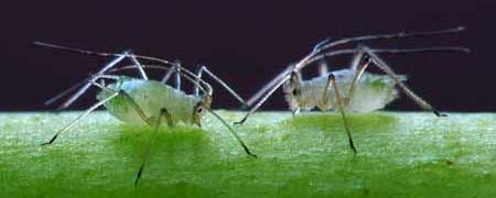 image.php=3falbum_id=3d10876=26image_id=3d428741=26view=3dno_count