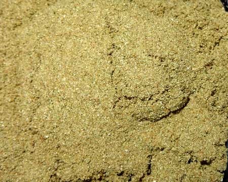 image.php=3falbum_id=3d11114=26image_id=3d439477=26view=3dno_count