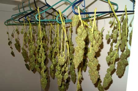 image.php=3falbum_id=3d11114=26image_id=3d442899=26view=3dno_count