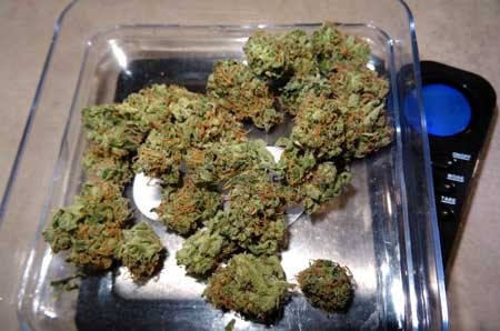 image.php=3falbum_id=3d11114=26image_id=3d442906=26view=3dno_count