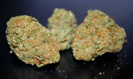 image.php=3falbum_id=3d11114=26image_id=3d442915=26view=3dno_count