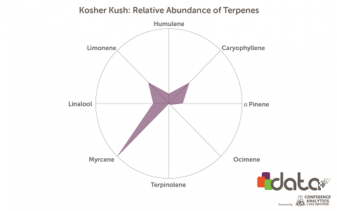 image.php=3falbum_id=3d17016=26image_id=3d438999=26view=3dno_count