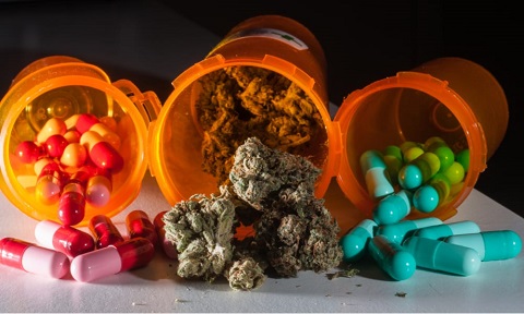 image.php=3falbum_id=3d19770=26image_id=3d529164=26view=3dno_count