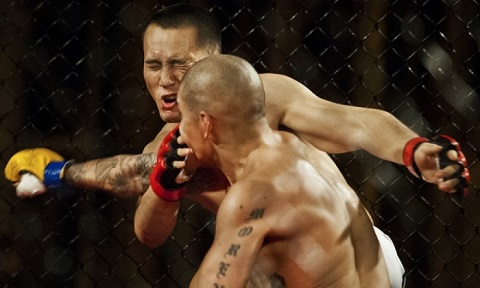 image.php=3falbum_id=3d19770=26image_id=3d530198=26view=3dno_count