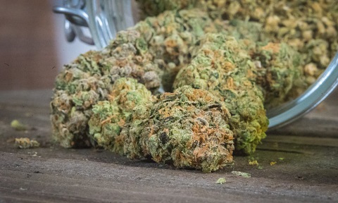 image.php=3falbum_id=3d19770=26image_id=3d530429=26view=3dno_count