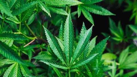 image.php=3falbum_id=3d19770=26image_id=3d530619=26view=3dno_count