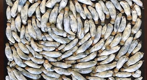 image.php=3falbum_id=3d19770=26image_id=3d533726=26view=3dno_count