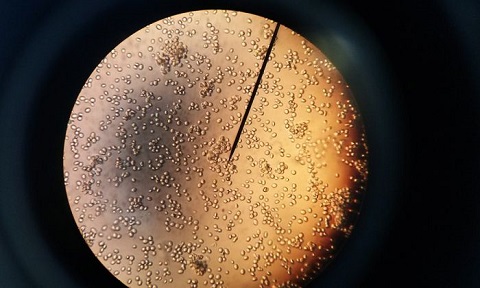 image.php=3falbum_id=3d19770=26image_id=3d540075=26view=3dno_count