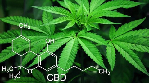 image.php=3falbum_id=3d19770=26image_id=3d540728=26view=3dno_count