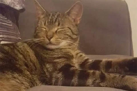 image.php=3falbum_id=3d19770=26image_id=3d540730=26view=3dno_count